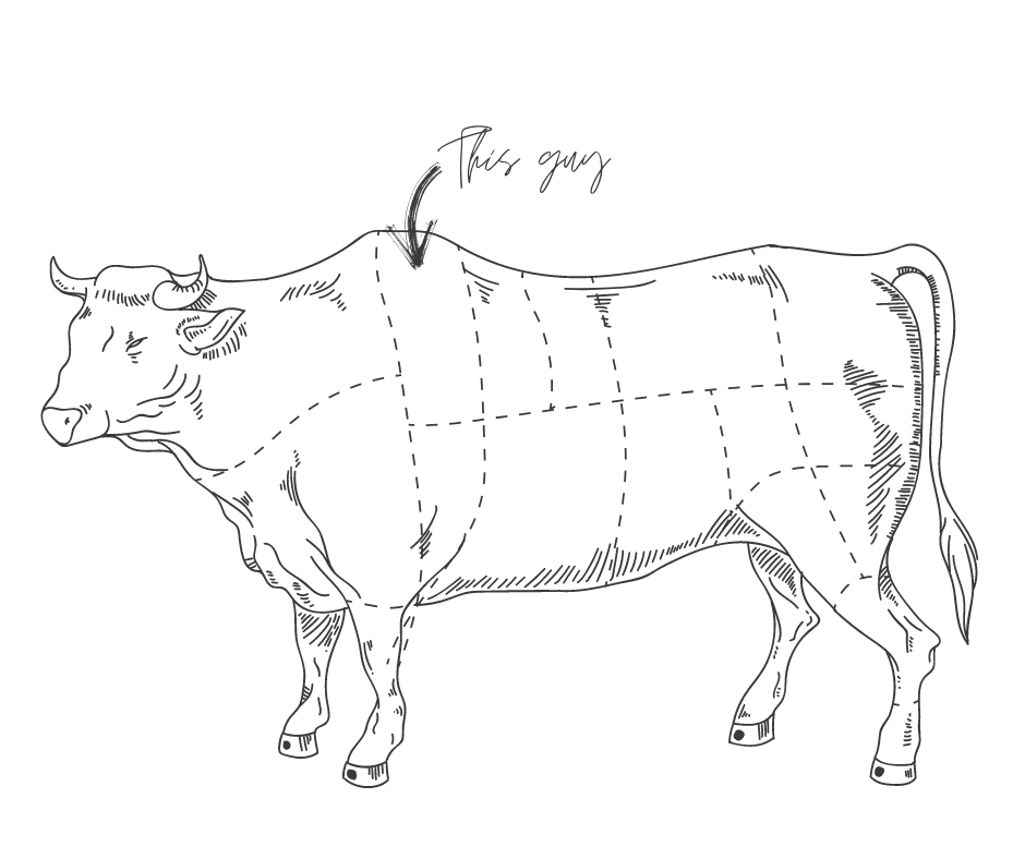 Diagram showing where a rib-eye steak comes from on a cow