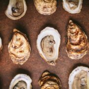 A photo of nine oysters evenly lined up
