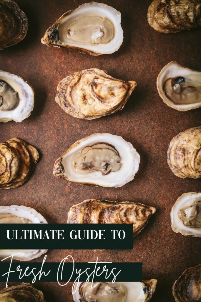 A photo of oysters on the half shell evenly lined up with title text