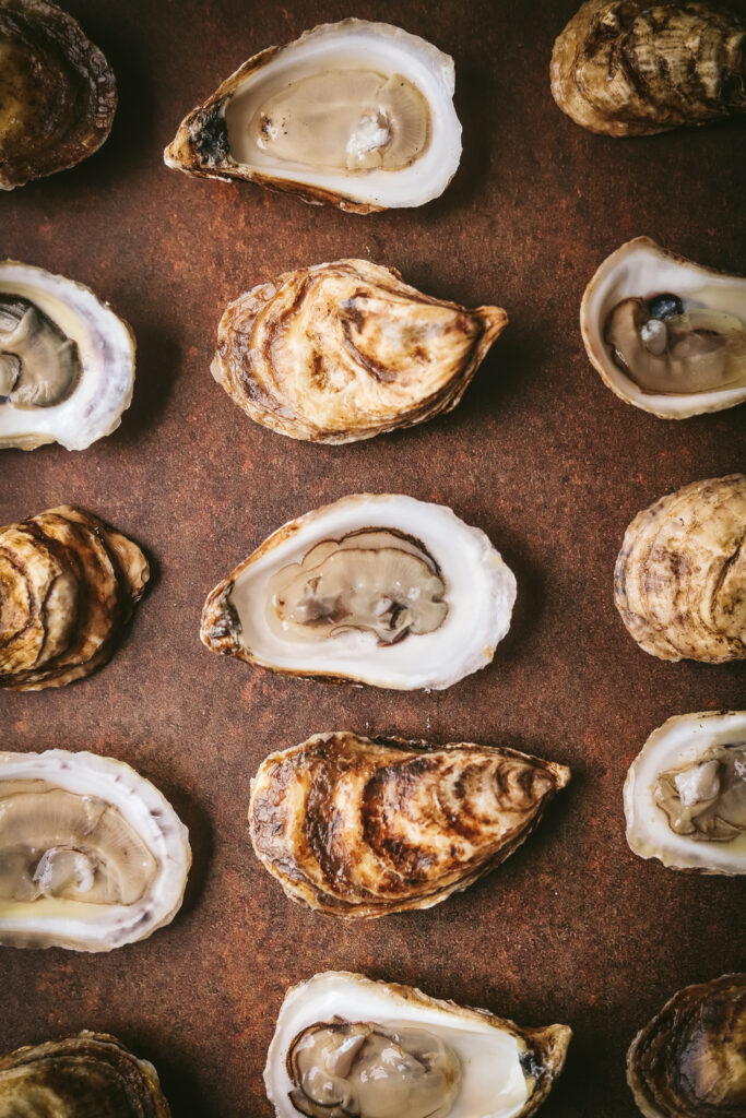 An overhead shot of oysters on the half shell, in three even lines