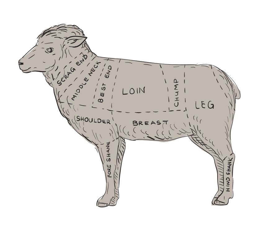 A diagram showing the different cuts for leg of lamb
