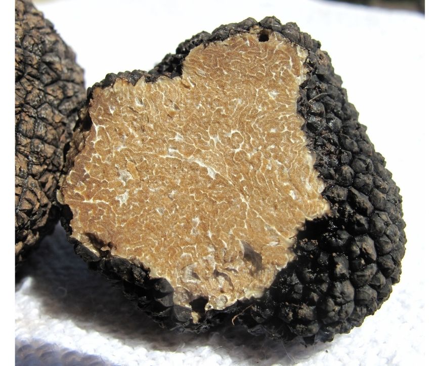 A close up photo of a black truffle