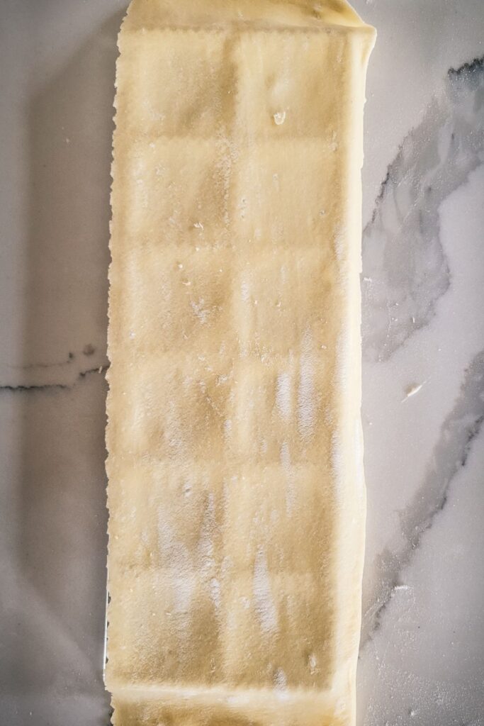 A sheet of pasta on the bottom of a ravioli maker