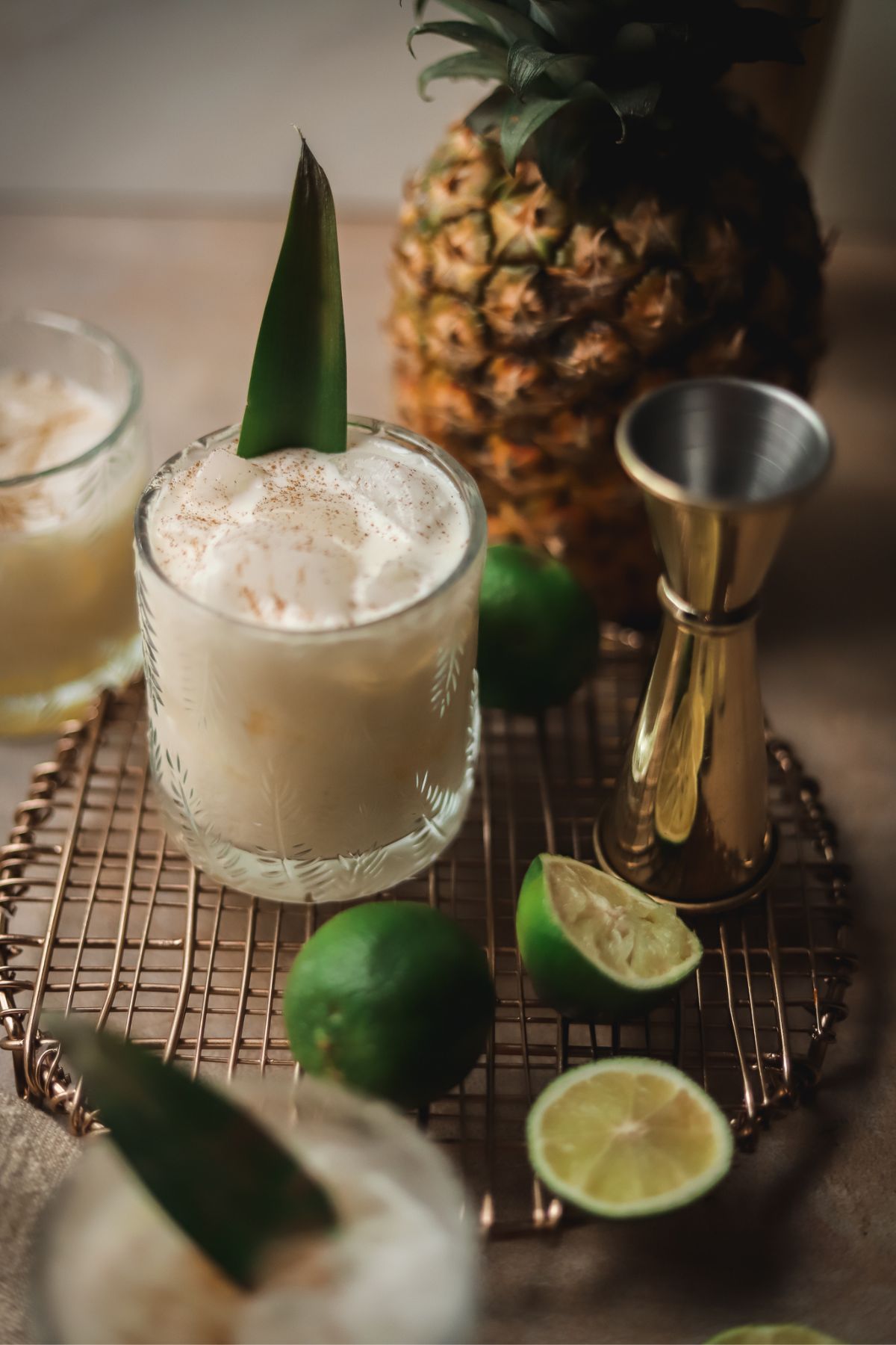 Pina Colada on the Rocks (Shaken) The Gourmet Bon Vivant