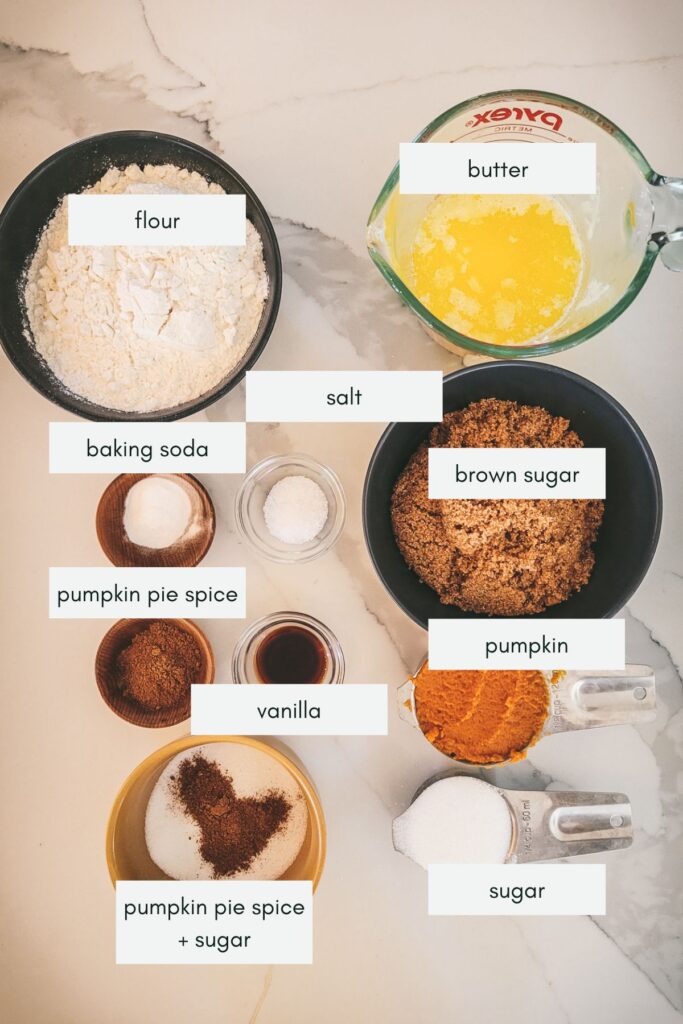 The ingredients for pumpkin snickerdoodles, with labels. 