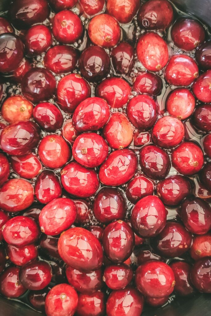 Cranberries in the pot with sugar and water. 