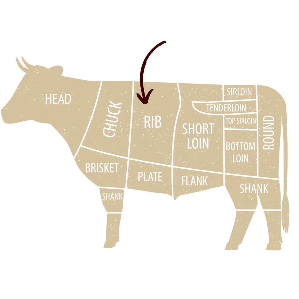 A diagram showing the different cuts of beef, and where the tomahawk steak comes from.